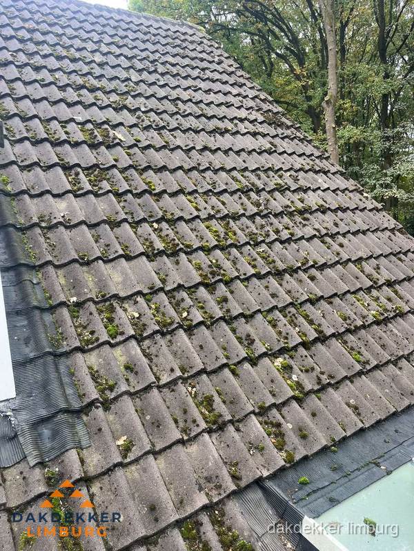 Verweerd pannendak met mosgroei dat renovatie nodig heeft in Limburg