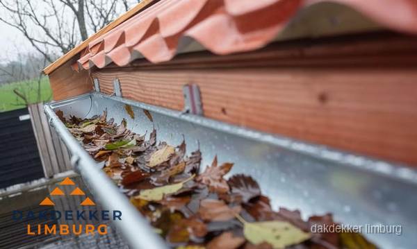 Dakgoot vol bladeren die gereinigd moet worden in Limburg Dakgoot vol bladeren die gereinigd moet worden in Limburg