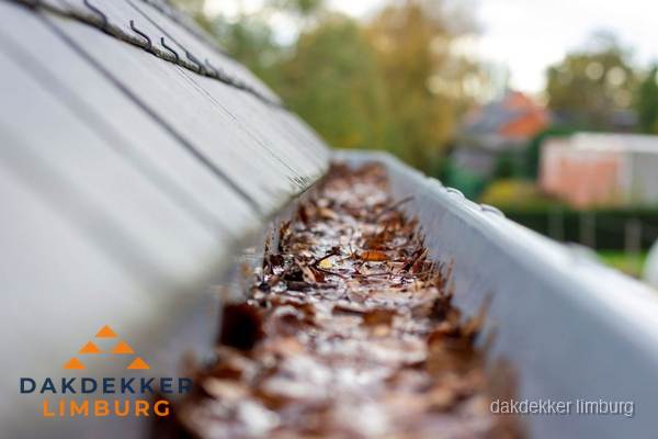 Verstopte dakgoot met bladeren schoonmaken in Limburg Verstopte dakgoot met bladeren schoonmaken in Limburg