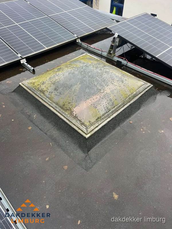 Vervuilde lichtkoepel op plat dak met zonnepanelen in Limburg