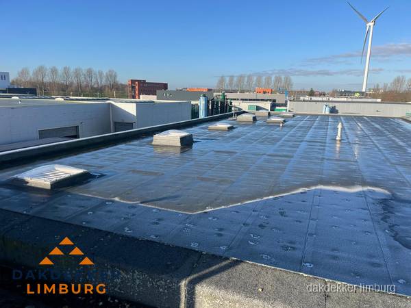 Plat dak bedrijfspand met bitumen dakbedekking en lichtkoepels in Limburg
