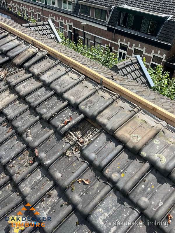 Dakonderhoud aan schuin pannendak met nokvernieuwing in Limburg