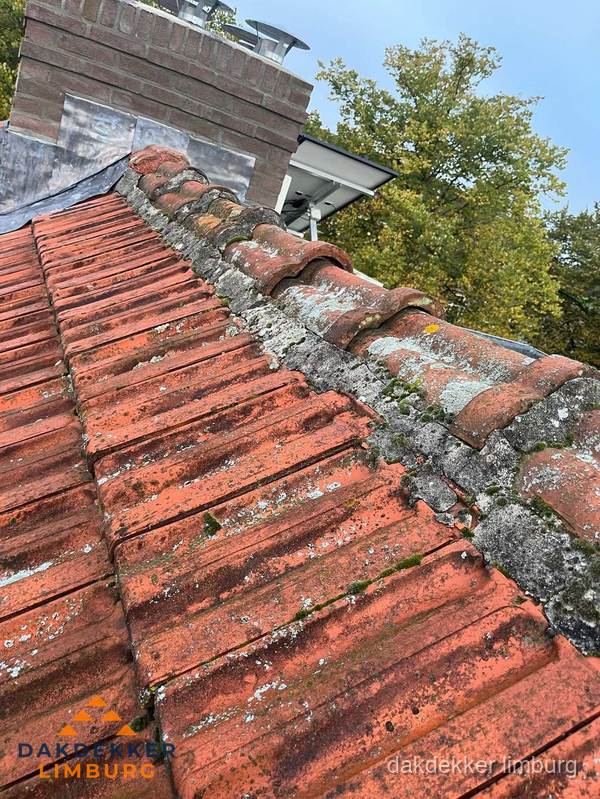 Verweerd hellend dak met mosgroei op nokvorst in Limburg