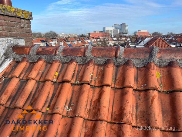 Pannendak met nokvorst en schoorsteen, dakrenovatie in Limburg